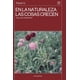 thumbnail image 1 of En la naturaleza las cosas crecen, 1 of 2