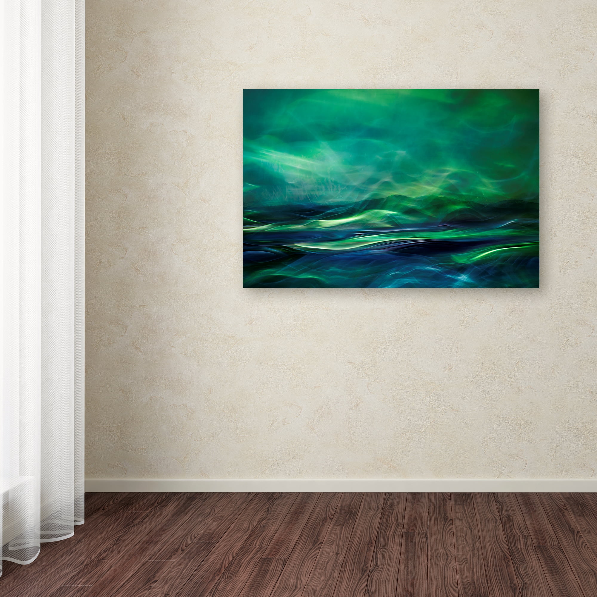 Trademark Fine Art 'Northern Lights' Canvas Art by Willy Marthinussen
