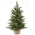 thumbnail image 5 of National Tree Company 3 ft. Pre-Lit Feel Real® Artificial Nordic Spruce® Mini Christmas Tree, Green, Clear Lights, Includes Burlap Bag Base, 5 of 6
