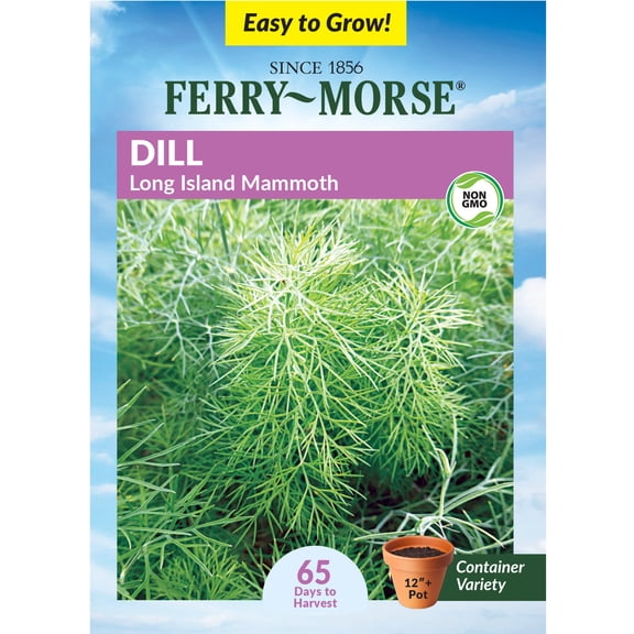 Ferry-Morse Dill Mammoth Annual Herb Seeds 920MG - Full Sun
