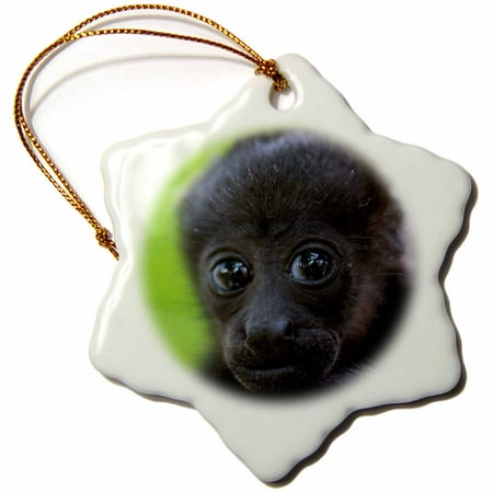 Mantle Decor For Christmas 3dRose Mantled howler monkey - SA22 AMR0005 - Andres Morya Hinojosa, Snowflake Ornament, Porcelain, 3-inch ()
