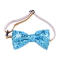 thumbnail image 1 of destyer Cat and Dog Birthday Bow, 1 of 9