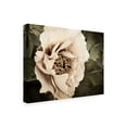 thumbnail image 2 of Trademark Fine Art 'Golden Era Peony I' Canvas Art by Rachel Perry, 2 of 4