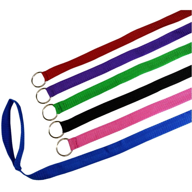 Slip Lead Downtown Pet Supply, 6 pies, para caseta para perros, paquete de 6