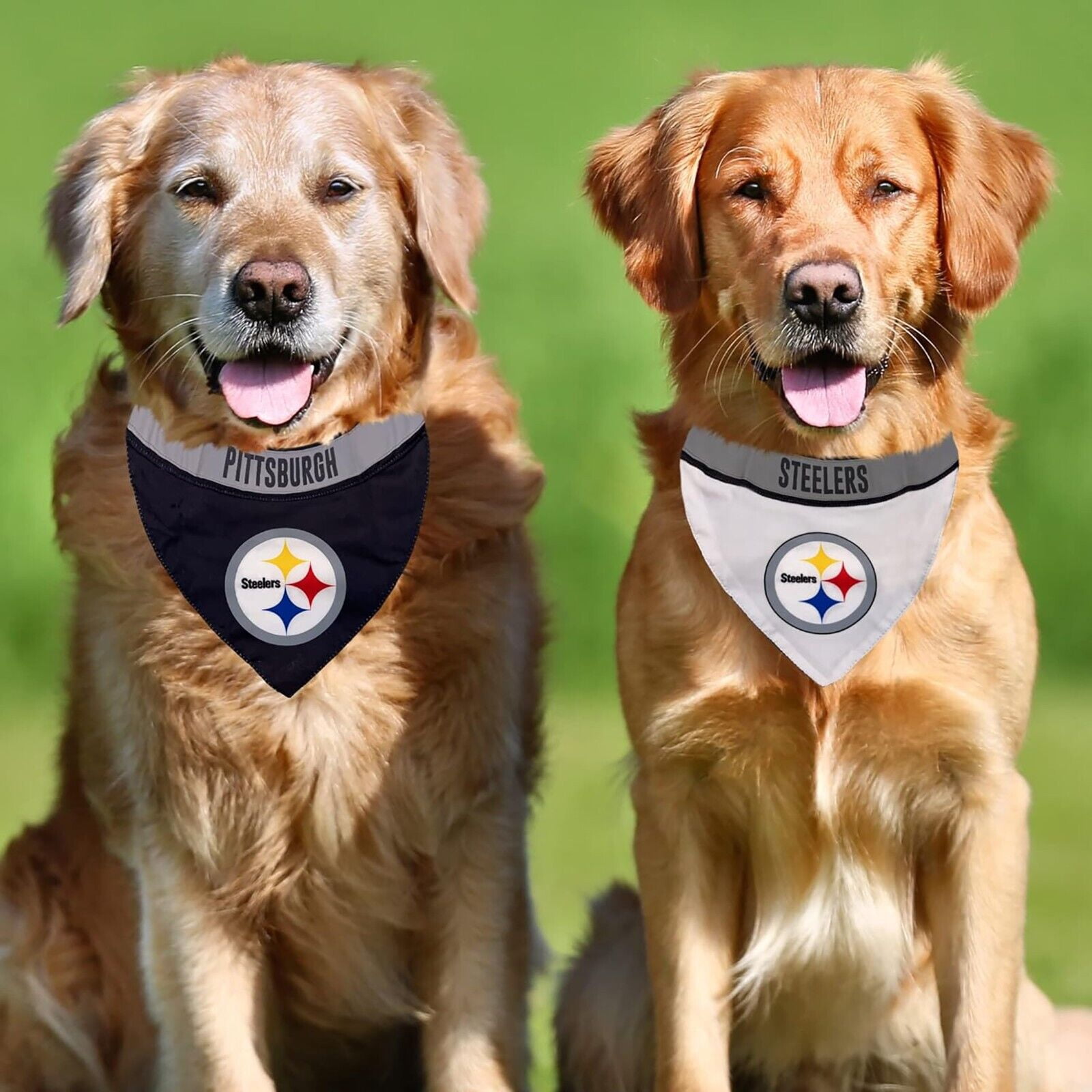 Pets First #1 NFL Party Bandana, Reflective Dog Bandana & Cat Bandana