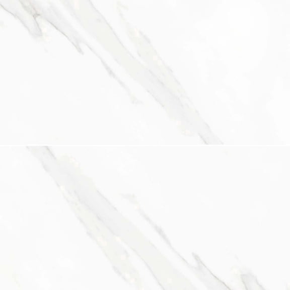 The Tile Life Delaney Blanco Polished Porcelain Floor & Wall Tile 4x4 in Sample 1-Piece