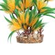 thumbnail image 4 of Plantas De Simulación De Acuario Plantas Artificiales De Acuario Moldeadas Por Inyección Sin Decoloración Para Acuario De Pecera ANGGREK Mascotas, 4 of 8