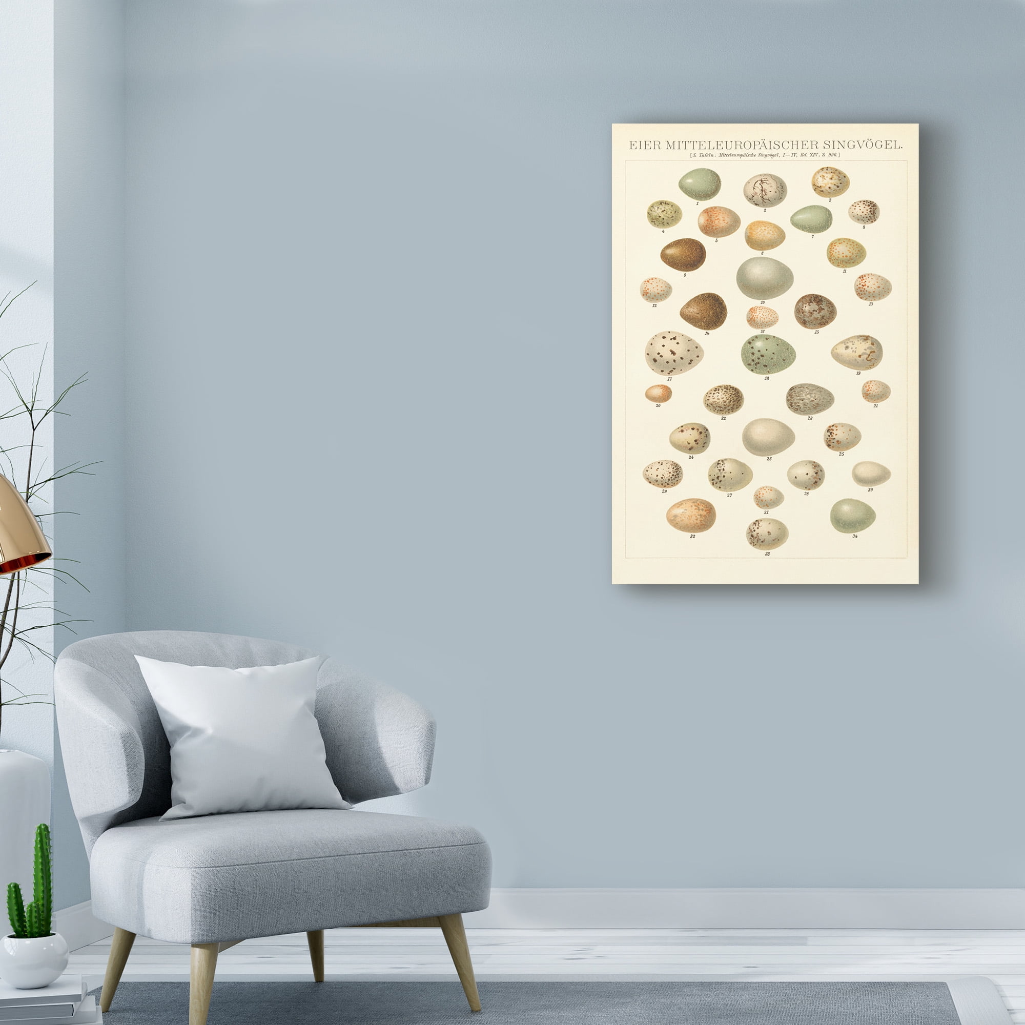 Trademark Fine Art 'Songbird Egg Chart' Canvas Art by Wild Apple Portfolio