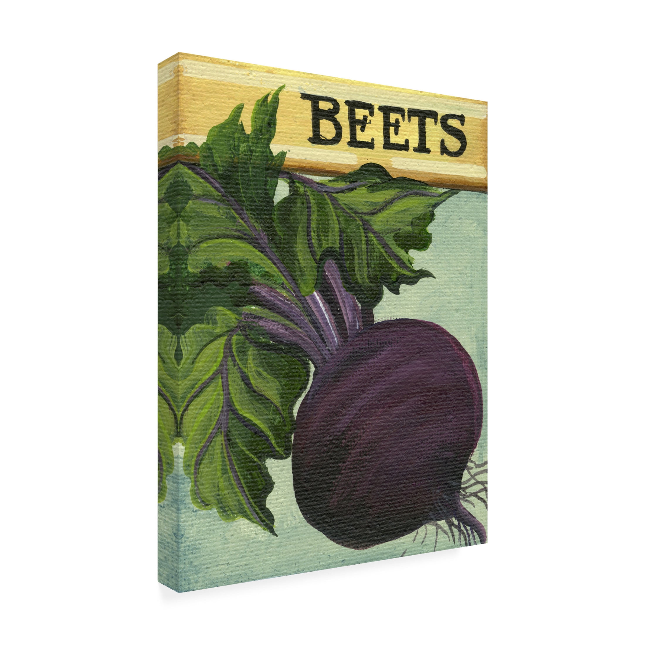 Canvas Wall Art - Debbi Wetzel 'Seed Packets 18 - Beets' Wall Art for Living Room, Bedroom, or Office Décor by Trademark Fine Art - 24 x 32 Inches