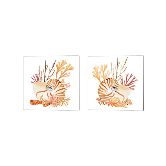 Great Art Now Nautilus Grouping by Annie Warren 2 Piece Canvas Art Set Each 14W x 14H