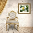 thumbnail image 3 of Bonin, Suzanne 32x25 Gold Ornate Wood Framed with Double Matting Museum Art Print Titled - Lady In Yellow, 3 of 4
