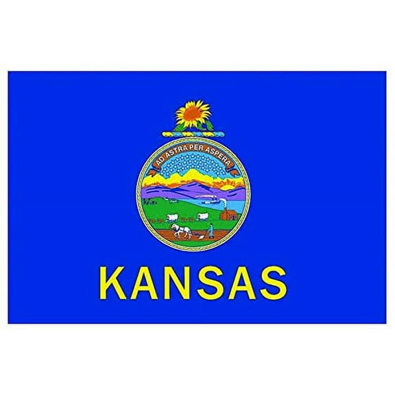 Nylon Kansas State Flag - 6'H x 10'W