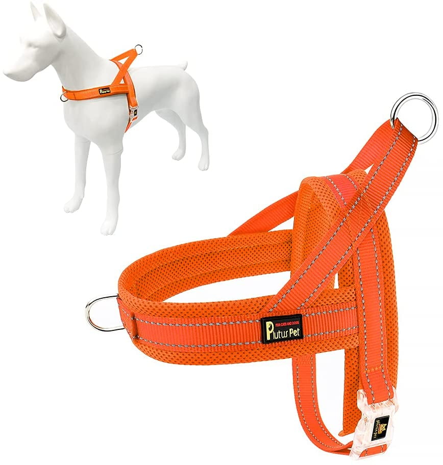 Comfortable Dog Harness Orange Puppy Leash Harness Medium Plus 4 ft Reflective Dog Leash with Padded Handle AIR Dog Harness Leash Set Mesh Dog Harness No-Choke Dog Harness 