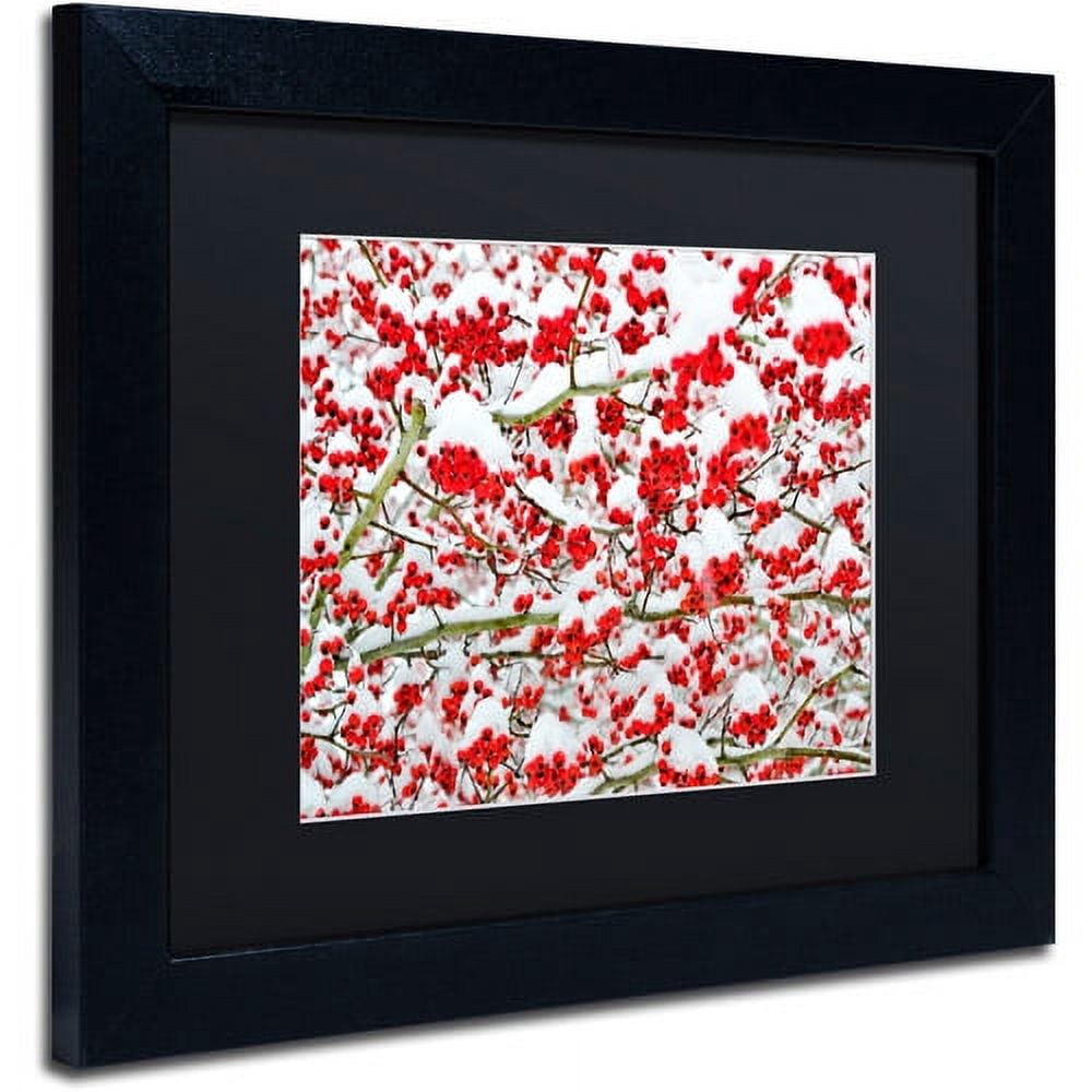 Trademark Fine Art "Winter Berries in the Snow" Canvas Art by Kurt Shaffer Black Matte, Black Frame