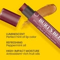 thumbnail image 3 of Burt's Bees Lip Shimmer - Fig Blister - 0.09oz, 3 of 4