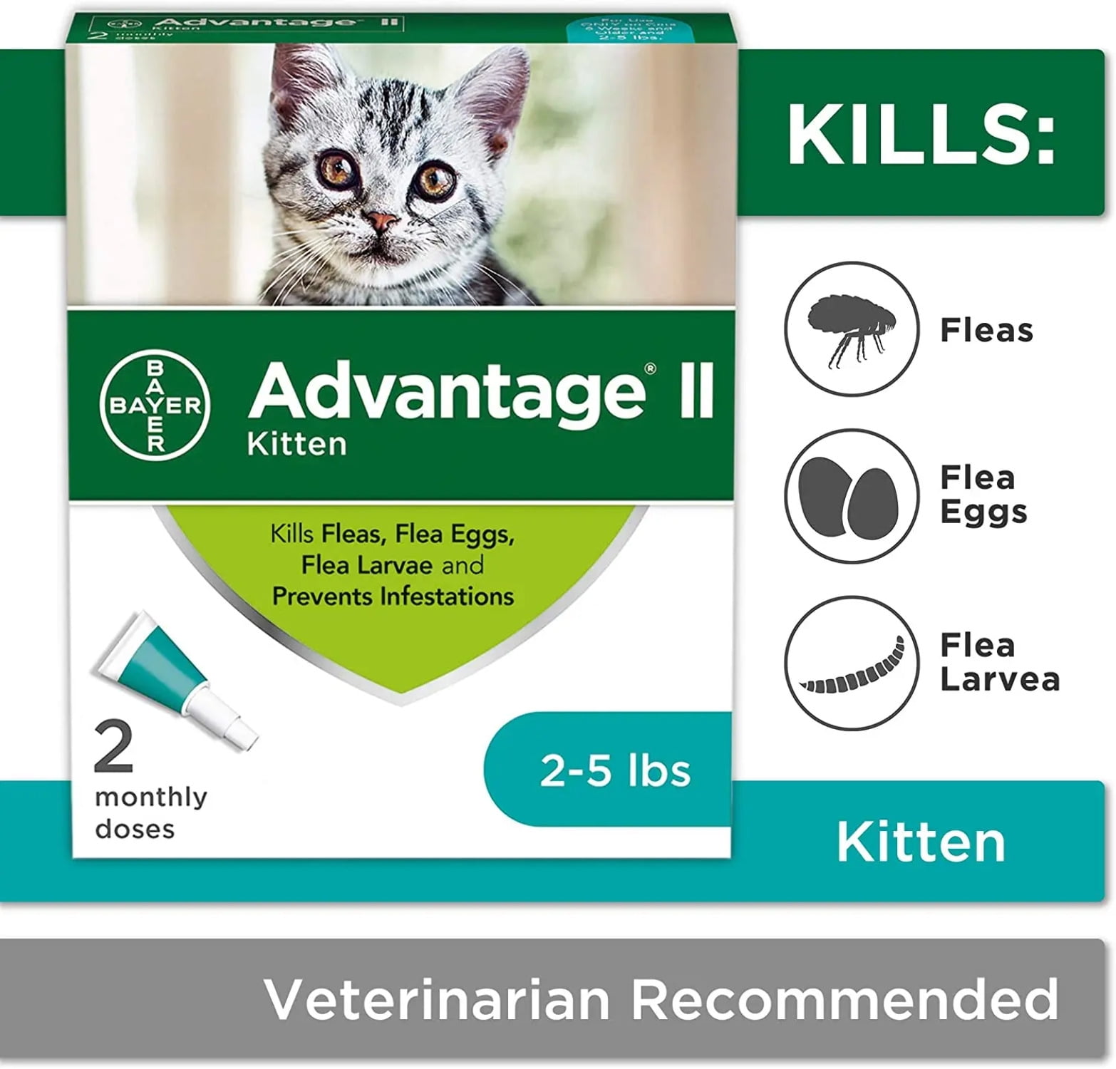 Advantage 2 for cats cheap walmart