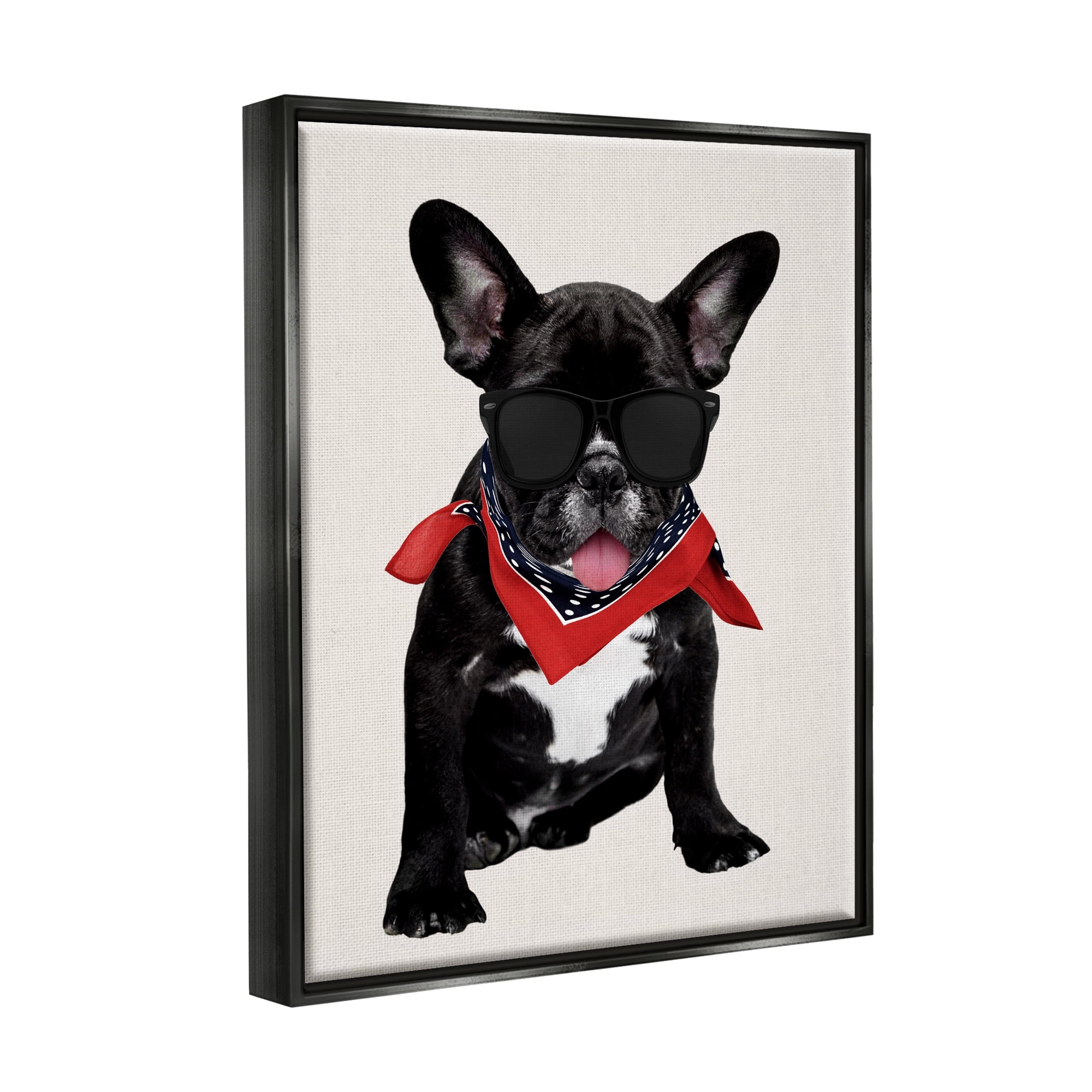 Stupell Cool Dude French Bulldog Pet Animals & Insects Painting Black Floater Framed Art Print Wall Art