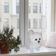 thumbnail image 4 of Cartoon Toys Realistic Pomeranian Dog Ornaments for Kids/Adults Relieve Stress Supplies Plush Cartoon Toy Fine Material, 4 of 4