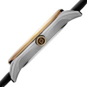 Mens Akribos XXIV AK870YGB