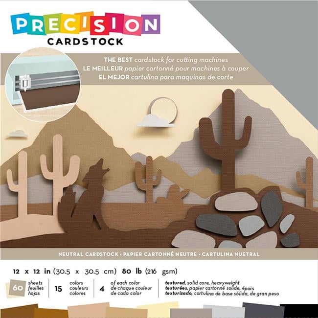 American Crafts AC354128 12 x 12 in. 80 lbs Precision Cardstock Pack
