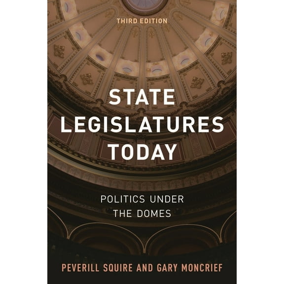 State Legislatures Today: Politics under the Domes, (Paperback)