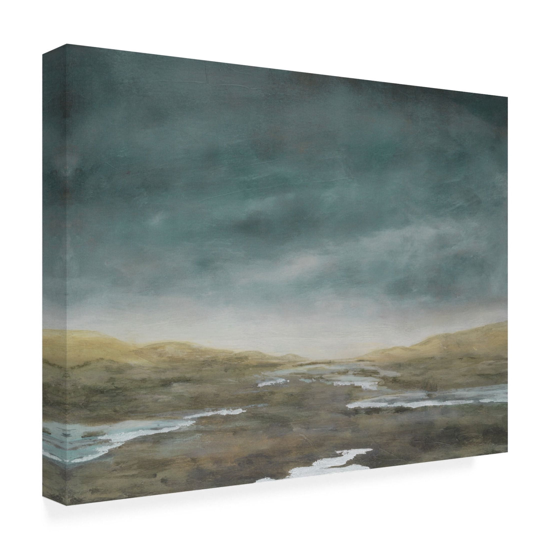 Trademark Fine Art Michael Willett  Basin Squall I Canvas Wall Art