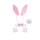 thumbnail image 5 of Sonducket Sexy Rabbit Ear Hairhoop Collar accesorios para el hogar accesorios de Cosplay multifuncional Lady Bunny disfraz blanco + rosa claro Blanco+Rosa Claro 2piezas, 5 of 6