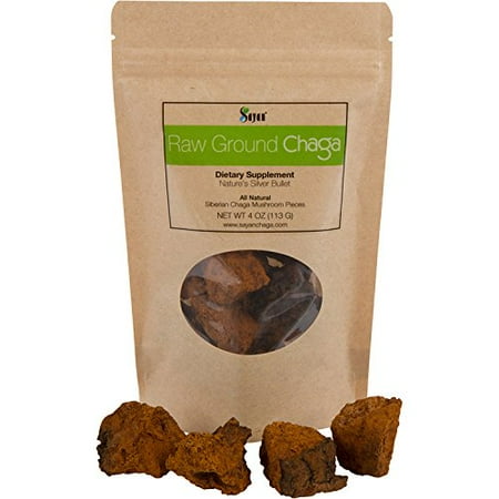 Sayan Siberian Pure Raw Chaga Mushroom Chunks with Black ...