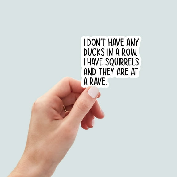 Ducks in a row, Funny Stickers, Sarcasm Stickers, Sarcastic Stickers, Yeti Stickers, Funny Laptop Sticker, Hydroflask Stickers, Funny Quotes (3x3inches)