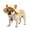 A01yellow L 41cm, variant on Dog Baseball Hat – Breathable UV Protection Pet Sun Visor for Dogs Cats Outdoor Travel Use