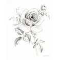 thumbnail image 2 of Nai, Danhui 15x18 White Modern Wood Framed Museum Art Print Titled - Sketchbook Garden IX BW, 2 of 4