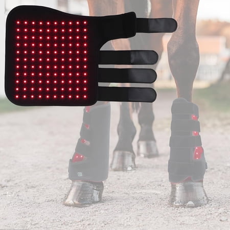 Equine Red Light Hock Wrap Wearable Infrared Leg Support for Horse Comfort and Wellness