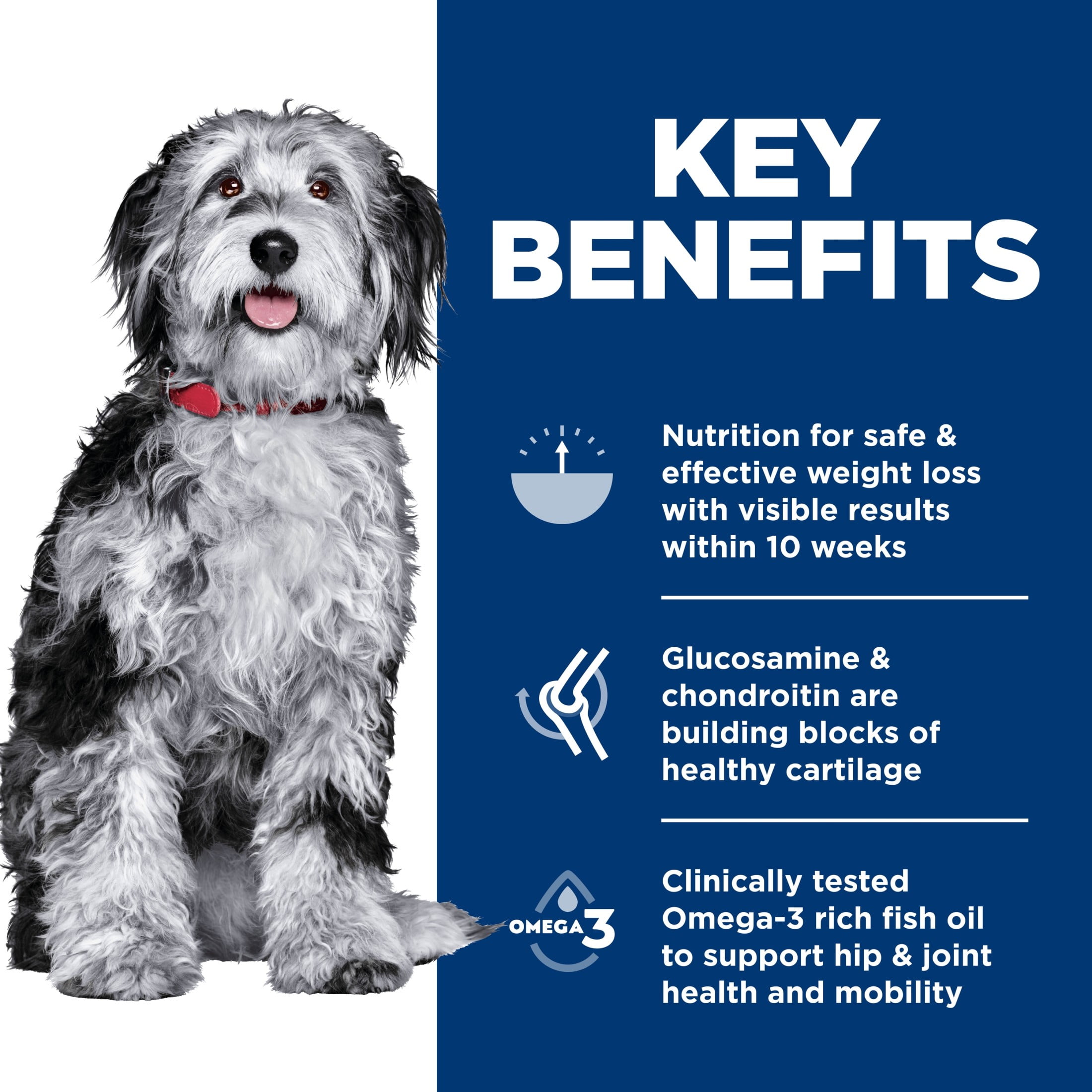Hill's Science Diet Perfect Weight & Joint Support Hearty Vegetables & Tuna Wet Dog Food, 12.5oz Can 12pk