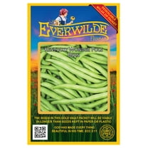 Everwilde Farms - 100 Kentucky Wonder 125 Pole Bean Seeds - Gold Vault Jumbo Bulk Seed Packet