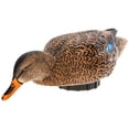thumbnail image 3 of Avian-X Power Shaker Mallard Hen Motion Duck Decoy Floating Surface Feeder, Multicolor, 3 of 6