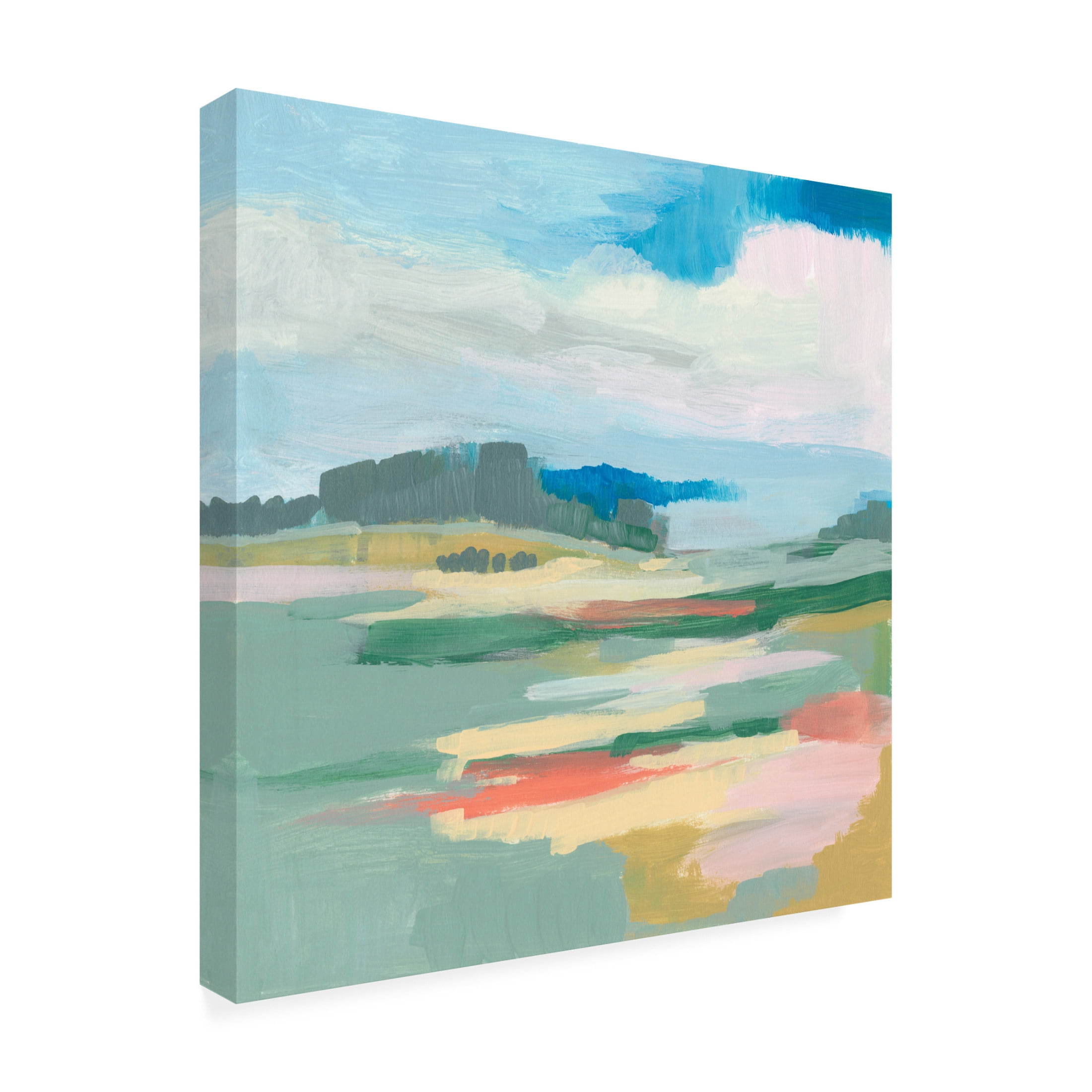 Canvas Wall Art - Jennifer Goldberger 'Sweeping Sky II' Wall Art for Living Room, Bedroom, or Office Décor by Trademark Fine Art - 18 x 18 Inches