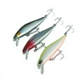 thumbnail image 6 of 2PC Minnow 4.3g Artificial Fishing Lure In Plastic With 3D Eyes Magnetic, 6 of 9