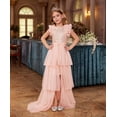 thumbnail image 5 of Drtj 2-14T Kids Teens Girls Dresses Sequin Party Formal Pageant Dress Tween Birthday Tulle Prom Princess Maxi Dress, 5 of 7