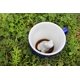 thumbnail image 2 of Creature Cups Taza De Cerámica Con Forma De Rana (11 Onzas Azul Cobalto)  La Taza Interior Con Animal Oculto En 3D Emerge Mientras Bebes  Regalo Para Los Amantes Del Café Y El Té, Para Fiestas De Cu, 2 of 5