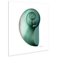 thumbnail image 3 of Empire Art Direct Shimmering Snail II Frameless Free Floating Tempered Glass Panel Graphic Wall Art, 24" x 24" x 0.2", Ready to Hang, 3 of 10