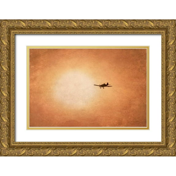 Murdock, Ramona 18x13 Gold Ornate Wood Framed with Double Matting Museum Art Print Titled - Early Morning Flight