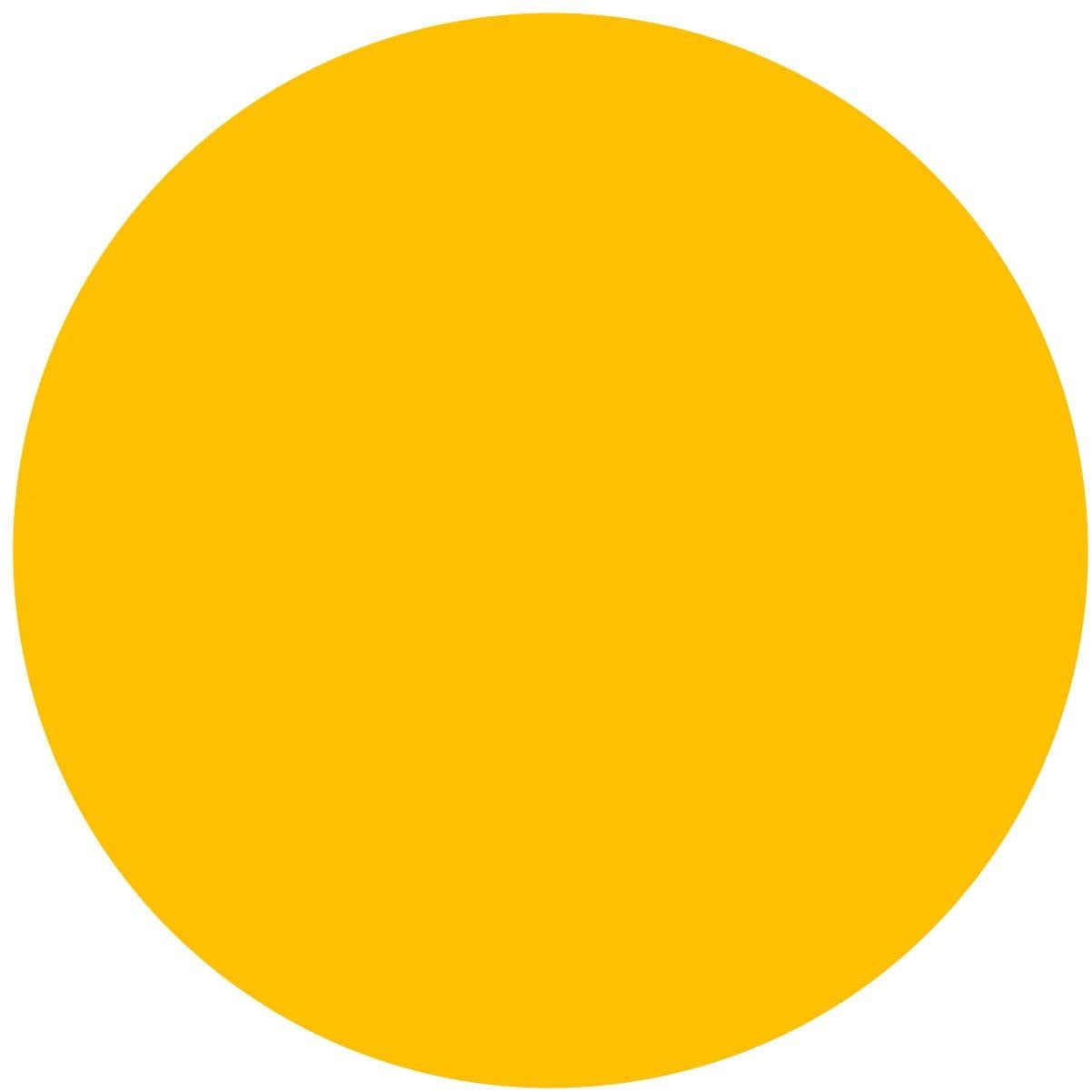 Blank Color Coding Stickers, Writable Surface  500 Permanent Labels per Roll Orange Fluorescent, 3" Circle