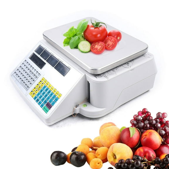 Digital Deli Meat Food Computing Retail Price Scale 66LB Retail with printer