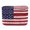 American Flag Print, variant on Psesaysky Fall RV Dual Propane Tank Cover Featuring Pumpkins Sunflowers, Polyester Waterproof Dustproof Cover for Outdoor Camping Travel