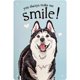 thumbnail image 1 of Placa de cartel de hojalata de Metal Vintage Wdftyju Smile Husky 20x30cm, 1 of 7
