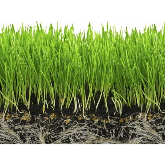 Water Retention Polymer for Grass and Gardens 45 Pounds