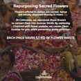 thumbnail image 7 of Balsam Cedar Incense Sticks - (80 Sticks) Charcoal Free, Made from Upcycled Flowers, 7 of 7