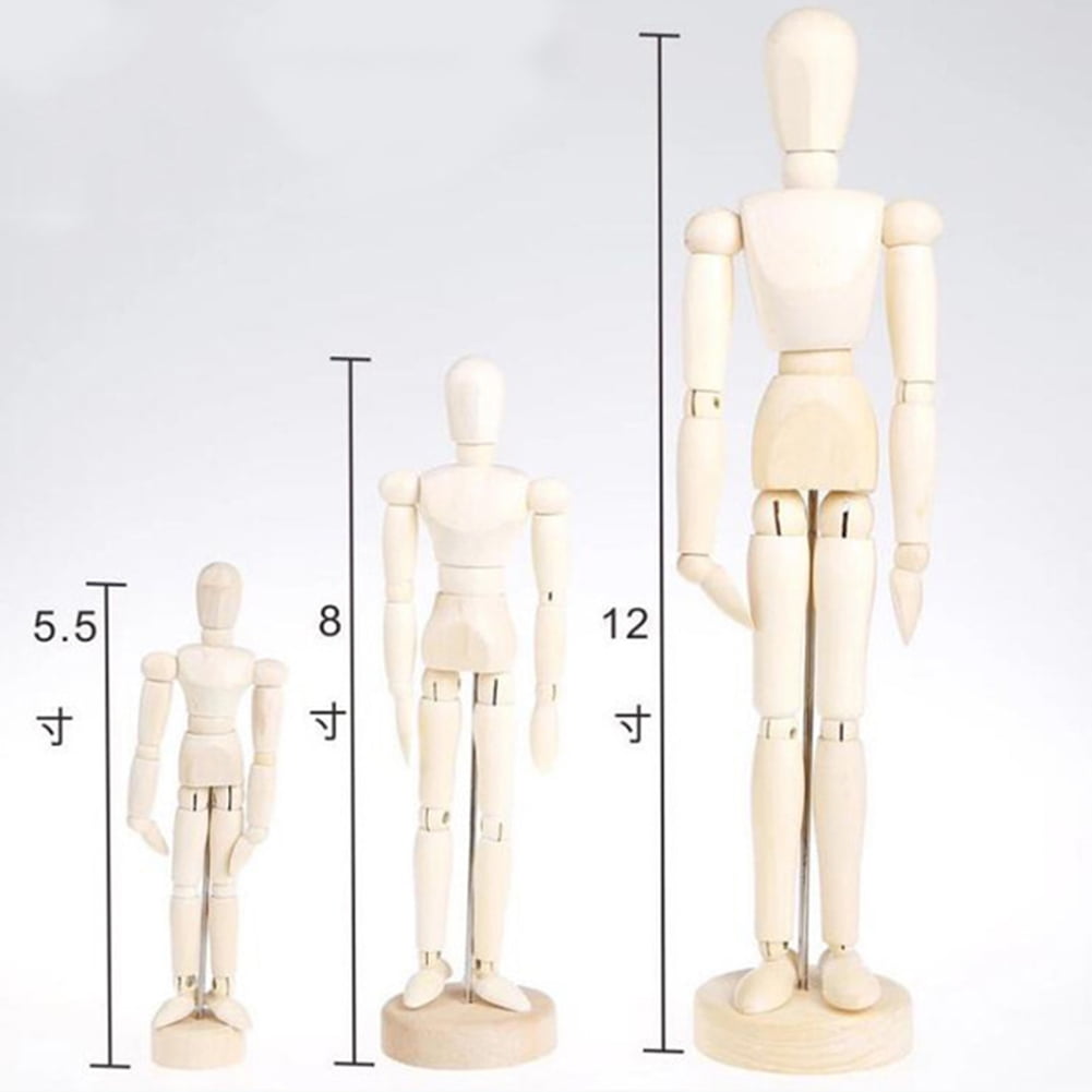 art manikins and anatomical models