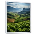 thumbnail image 2 of Designart "Cuba Tobacco landscapes II" Landscape & Nature Floater Framed Canvas Art Print, 2 of 7