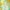 Yellow, variant on GERsome Toddler Kids Girls Princess Dress Floral Casual Dress Girls Party Dres